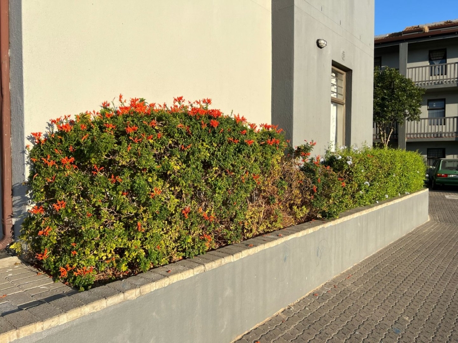 2 Bedroom Property for Sale in Parklands Western Cape